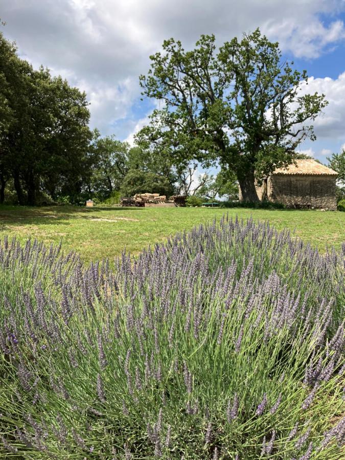La Bastide Des Roman Villa Vernegues Dış mekan fotoğraf